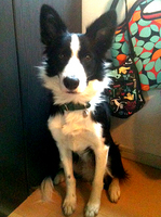 201204020822345e6.jpg