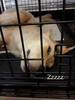 20130814_141133.jpg