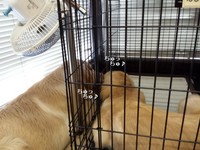 20130814_154248.jpg
