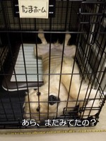 20130815_000557.jpg