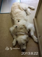 20130822_150348.jpg