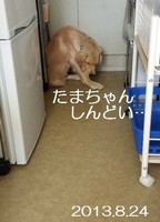 20130824_120032.jpg