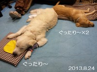 20130825_005923.jpg