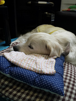 20130825_093712.jpg