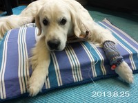 20130825_123410.jpg
