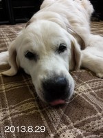20130829_111021.jpg