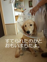 20131010_112542.jpg
