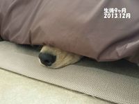 20131216_091624.jpg
