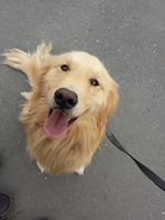 20131226_130419.jpg