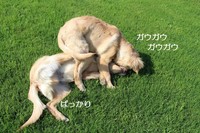 2013_08280009.jpg