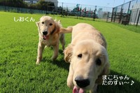 2013_08280011.jpg