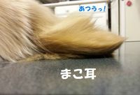 20140126_200540.jpg