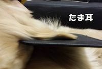 20140126_225237.jpg