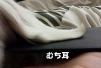 20140127_111712.jpg