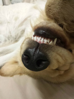 20140205_232314.jpg