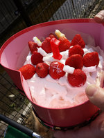 20140312_140959.jpg