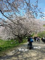 20140406_131135.jpg