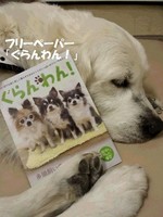 20140414_234714.jpg