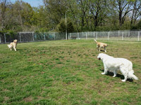 20140423_130511.jpg