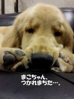 20140423_222337.jpg