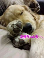 20140424_002916.jpg