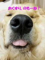 20140512_001352.jpg