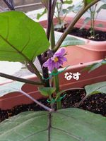 20140530_092942.jpg