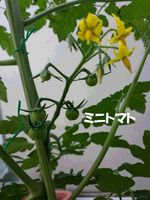 20140530_093012.jpg