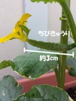 20140530_093158.jpg