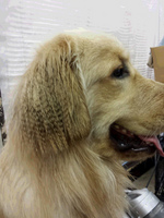 20140601_120536.jpg