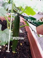 20140606_093951.jpg