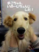 20140608_114345.jpg