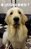 20140608_115132.jpg