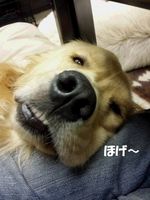 20140719_031317.jpg