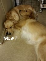 20140725_231747.jpg