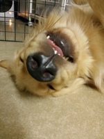 20140805_012230.jpg