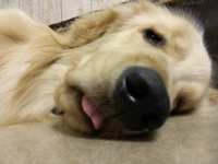 20140811_010319.jpg