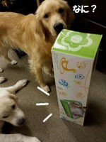 20140812_232805.jpg