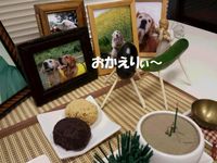 20140813_123456.jpg