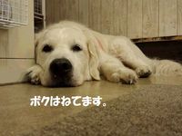 20140813_153041.jpg
