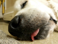 20140825_015630.jpg