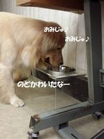 20140831_112401.jpg