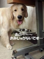 20140831_112405.jpg