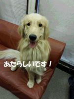 20140902_162824.jpg