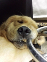 20140906_231440.jpg