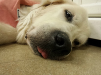 20140907_020529.jpg