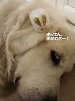 20140908_102134.jpg