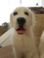 20140911_100825.jpg