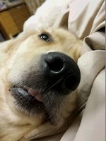 20141107_014431.jpg