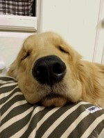 20141129_005533.jpg